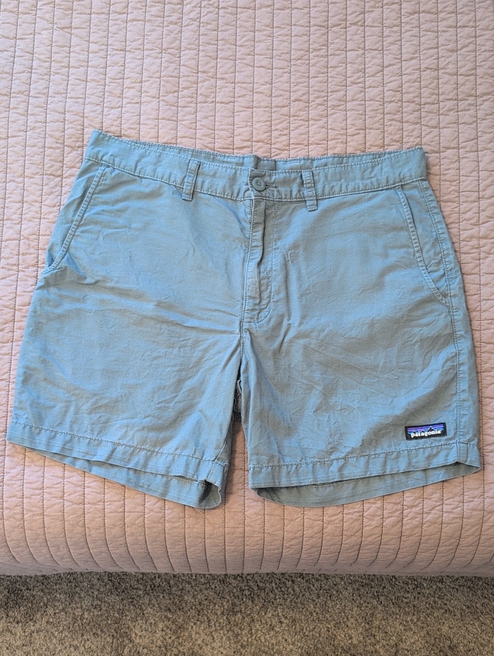 Patagonia Shorts Blue Size 32